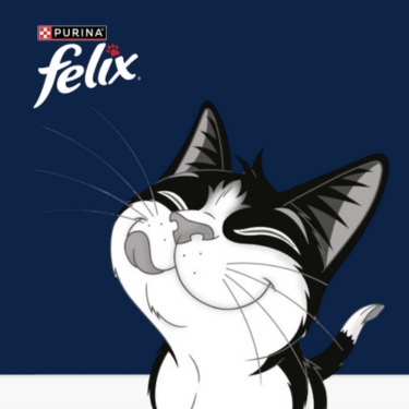 Felix - black and white cat licking its mouth