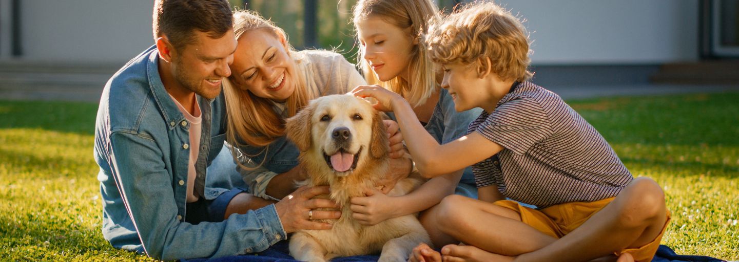 dog being hugged by family in backyard