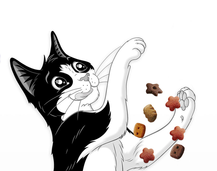 Felix cat playing