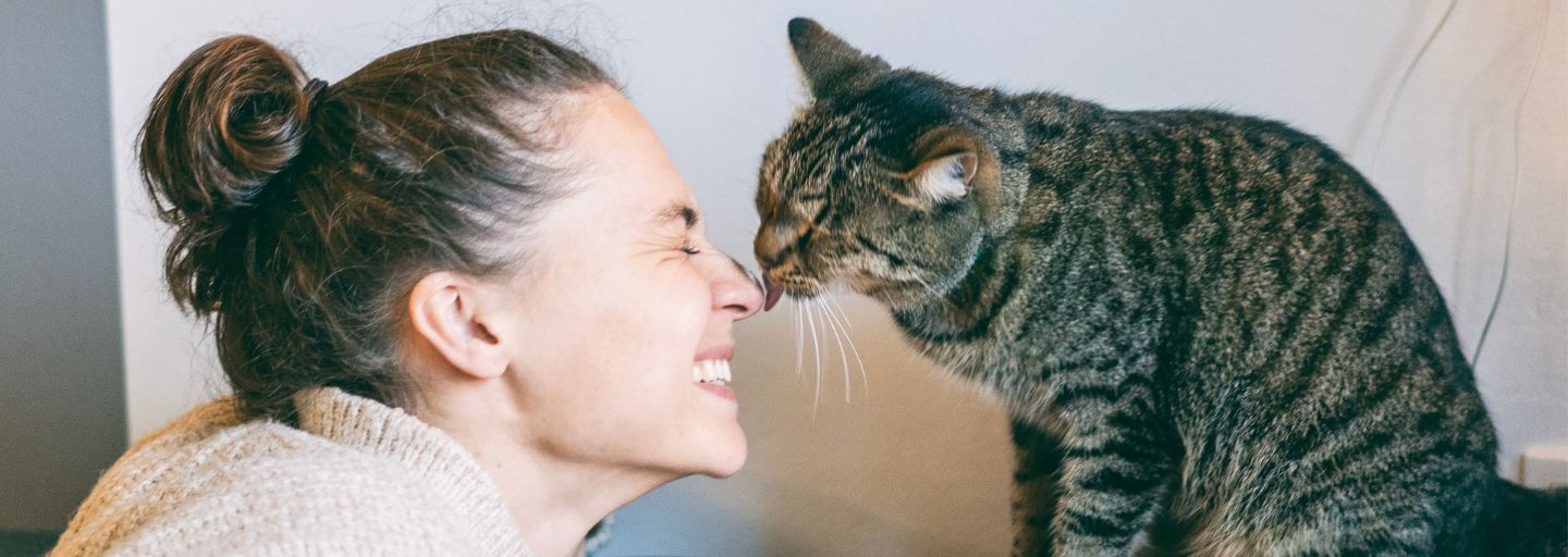Cat licking owner's nose
