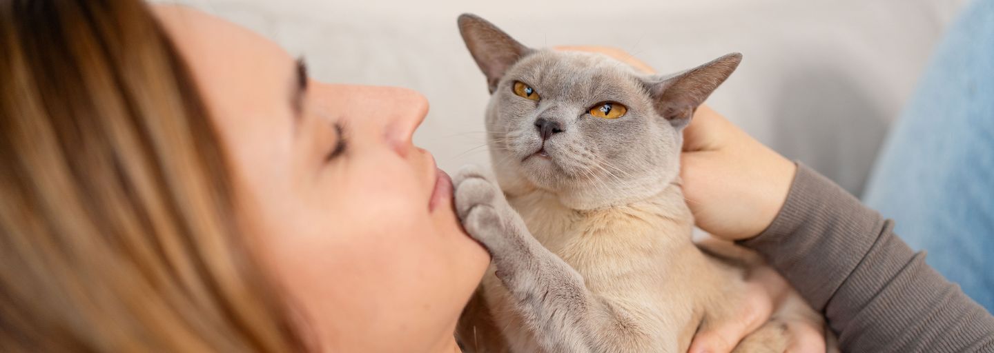 cat laying on woman