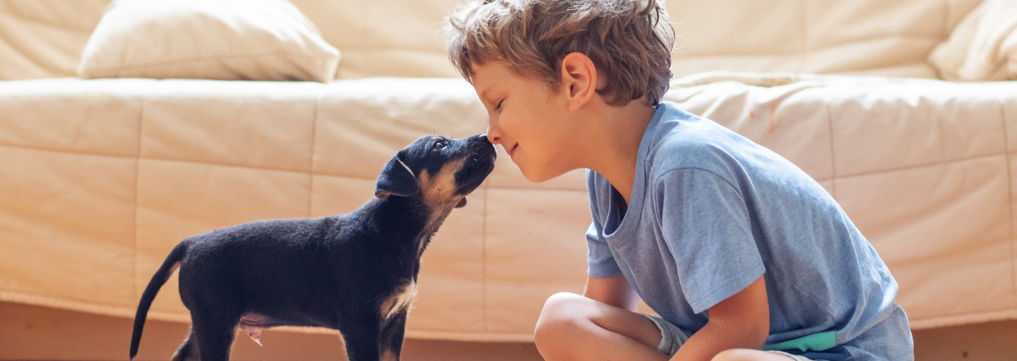 Child and puppy sitting together touching noses