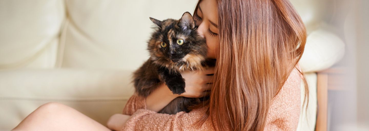 Girl hugging and kissing the cat on the neck.