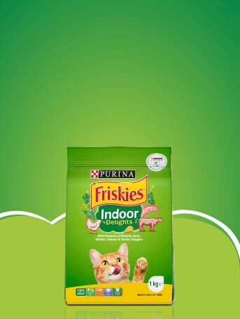 Friskies indoor delights on a green background