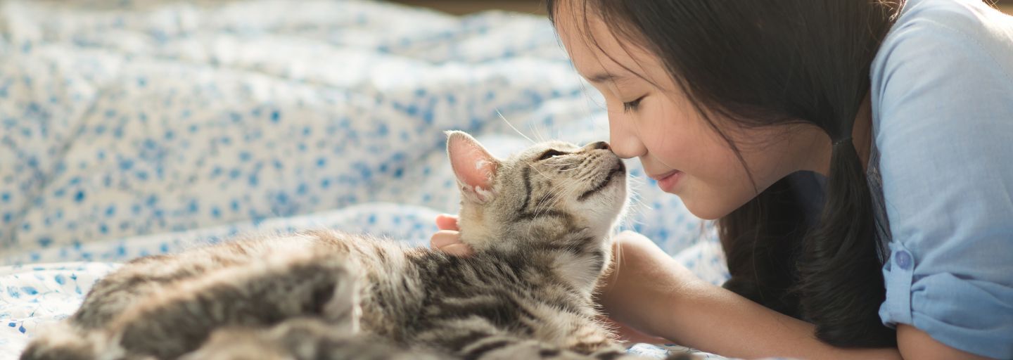 kitten and girl kissing