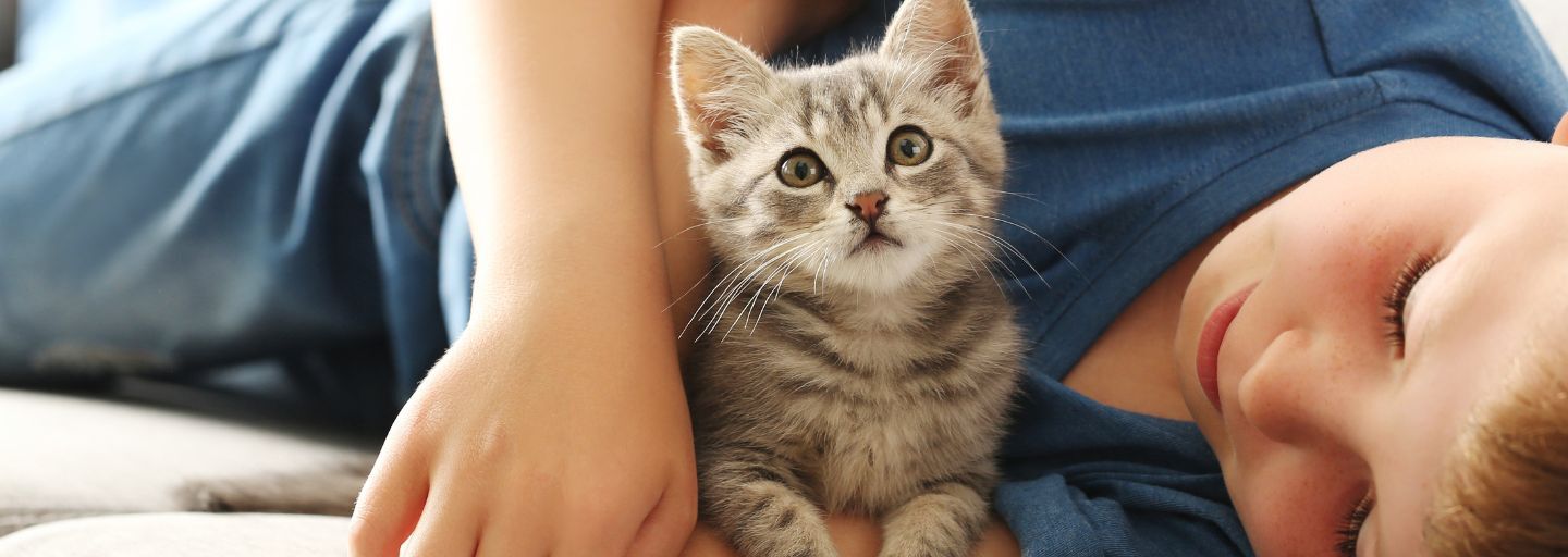 boy hugging kitten