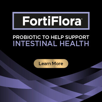 PRO PLAN Veterinary Diets - Intestinal Health
