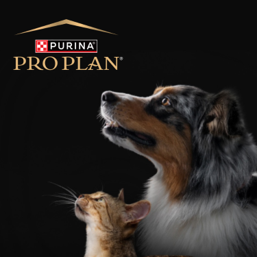 PRO PLAN cat and dog on a black background