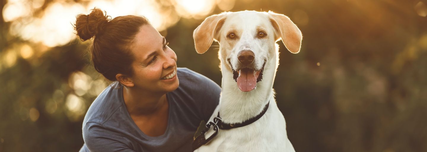 Woman hugging her happy dog during sunset.