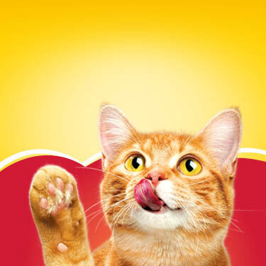 Friskies - Red Cat on a yellow and red background