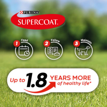 Supercoat - happy dog running on a field