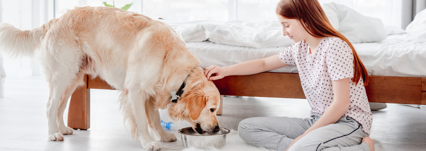 dog eating food with a girl petting it