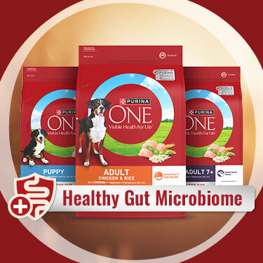 Purina ONE Dog Microbiome diagram