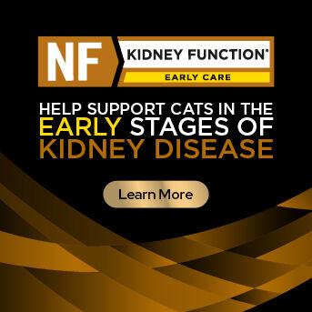 PRO PLAN Veterinary Diets - Kidney Function Early Care
