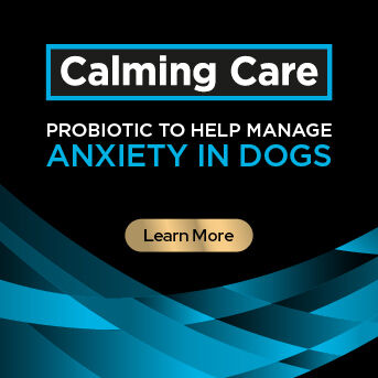 PRO PLAN Veterinary Diets - Anxiety in Dogs