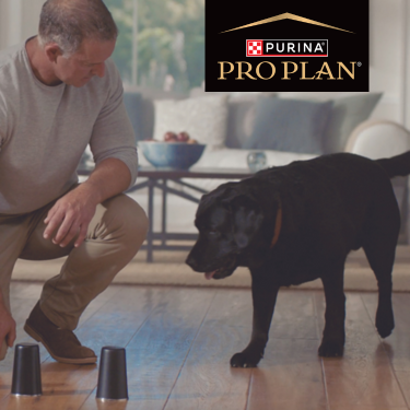PRO PLAN senior dog with owner