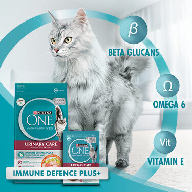 Purina One Cat and Food Nutrition Purina Australia