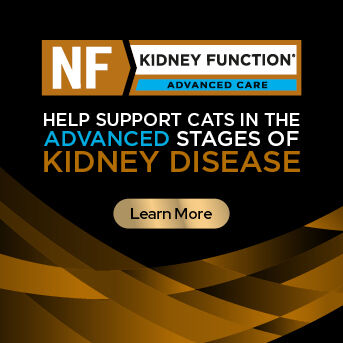 PRO PLAN Veterinary Diets - Kidney Function Advanced Care