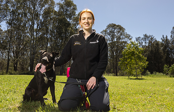 Animal Welfare League NSW dog handler with dog