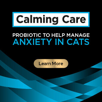 PRO PLAN Veterinary Diets - Anxiety in Cats