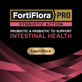 PRO PLAN Veterinary Diets - Intestinal Health