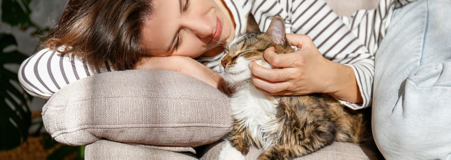 woman petting cat laying on couch