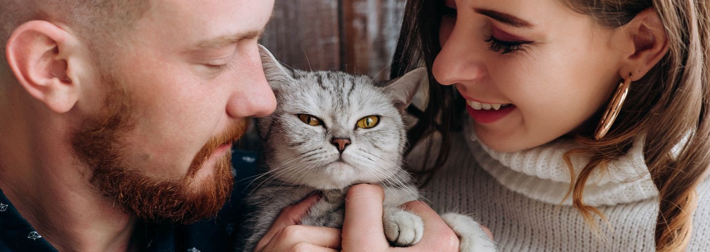 Young attractive couple holds their beautiful grey cat.