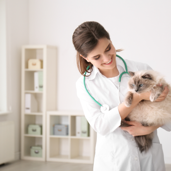 PRO PLAN Veterinary Diets - cat with vet