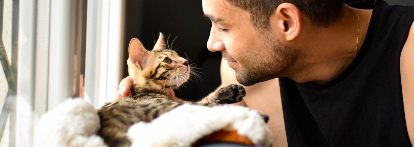 Cat and male owner starring at each other while he pets it.