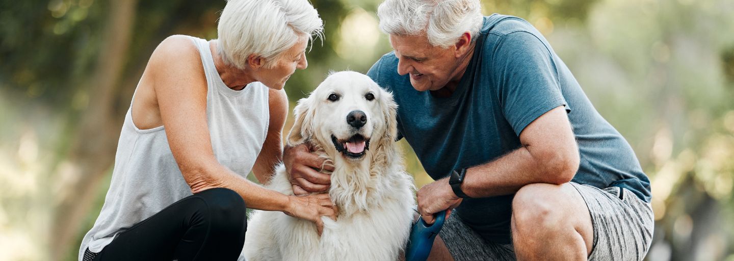 old dog with old couple