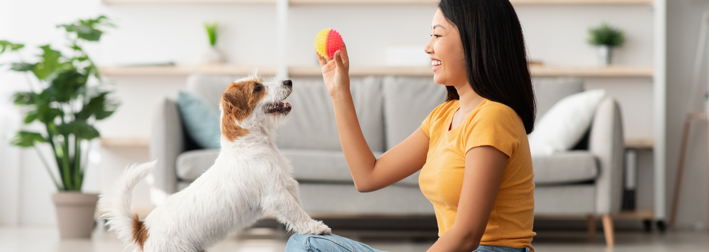 woman playing with puppy in home