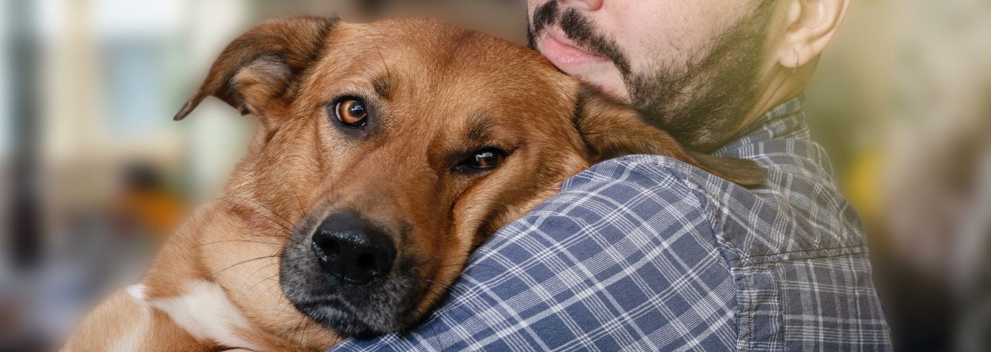 Owner cuddling his elderly dog