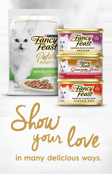 Fancy Feast white cat walking