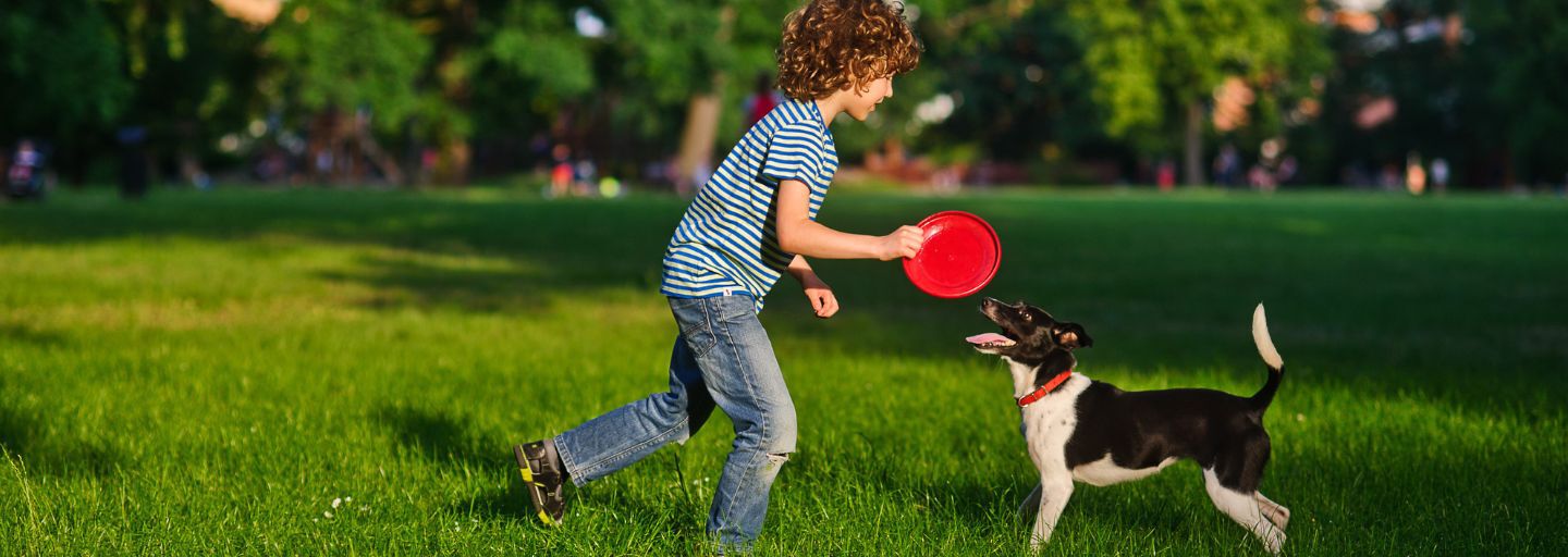 Child and dog playing in the park with a frisbee