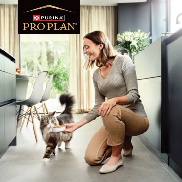 PRO PLAN woman feeding cat