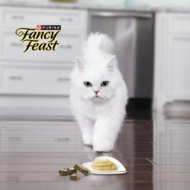 Fancy Feast Cat Food Menu Purina Australia