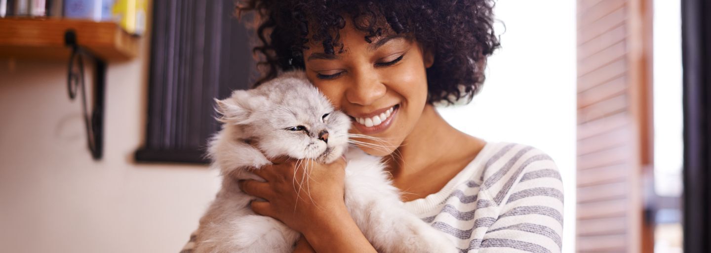 cat hug by Black woman