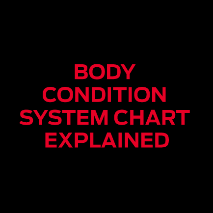 Supercoat - Body Condition Chart