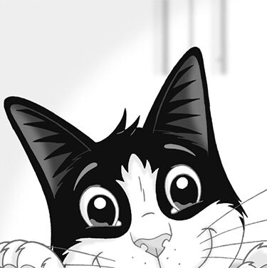 Felix - black and white cat on countertop
