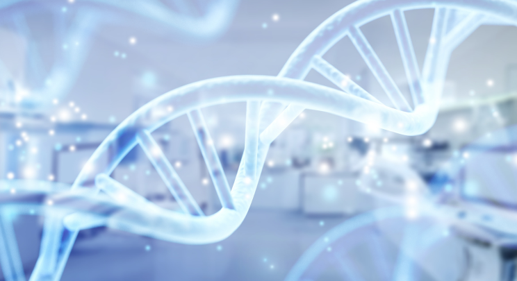 A picture of a DNA. Canine Genome