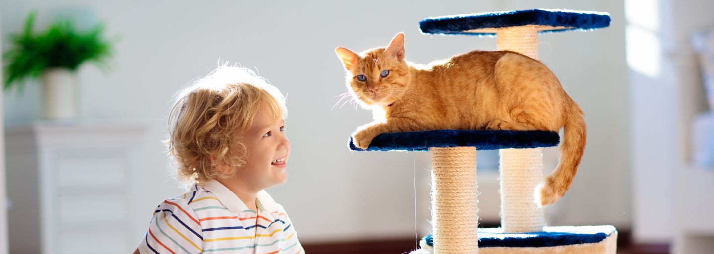 A child joyfully plays with a ginger-colored cat at home on its scratch post, showcasing the heartwarming bond between kids and pets. 