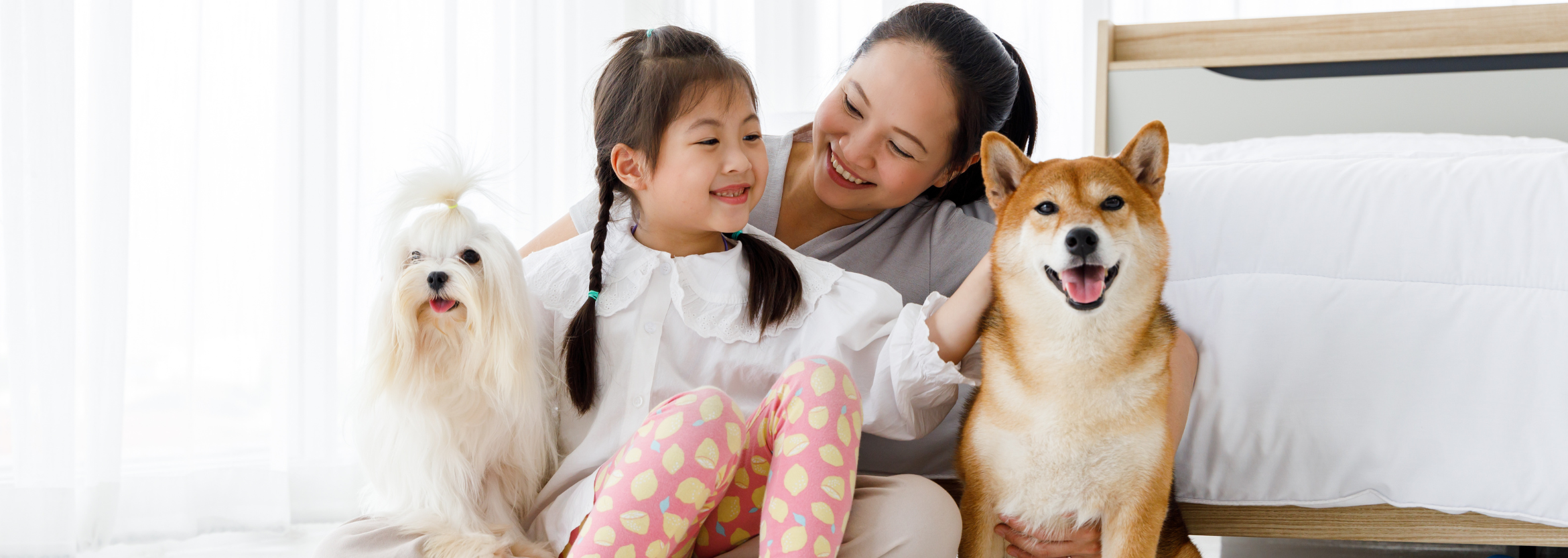 dog being hugged by family in backyard