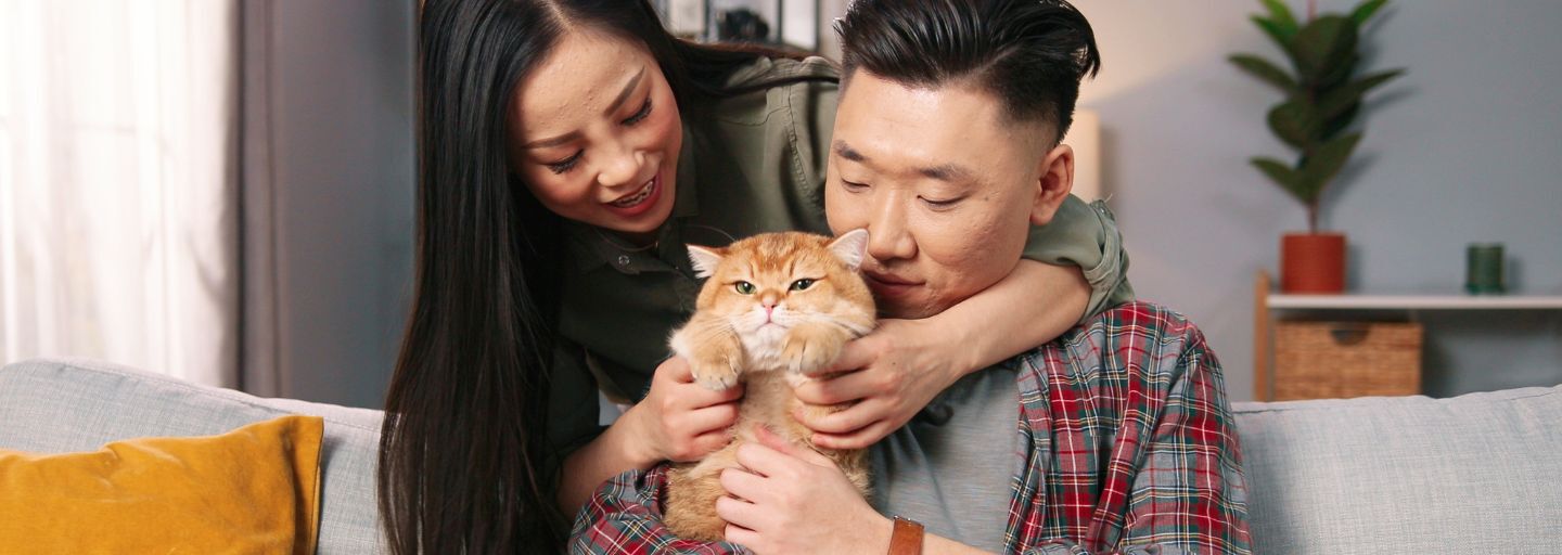 couple hugging a cat