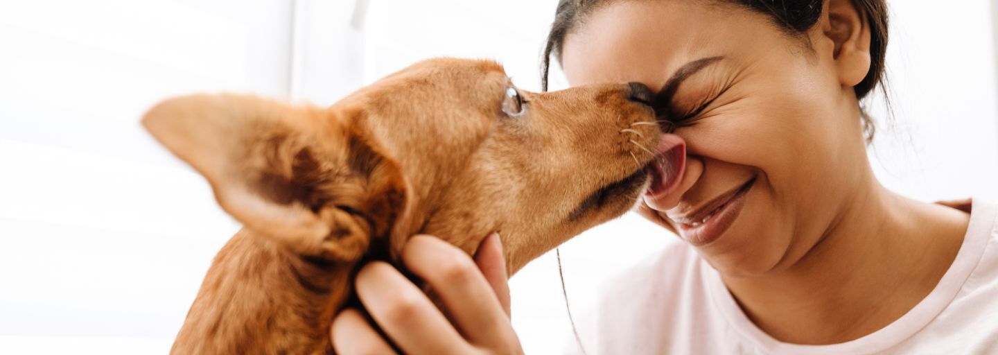 dog licking owner's face