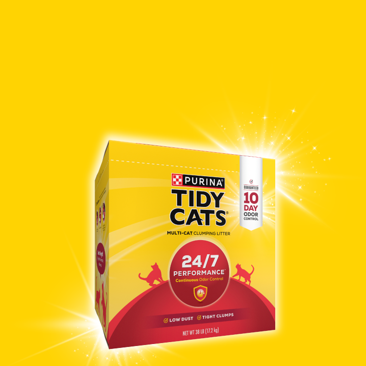 TIDY CATS litter eCommerce box