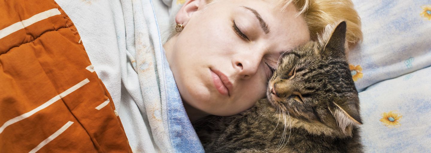 cat and owner sleeping