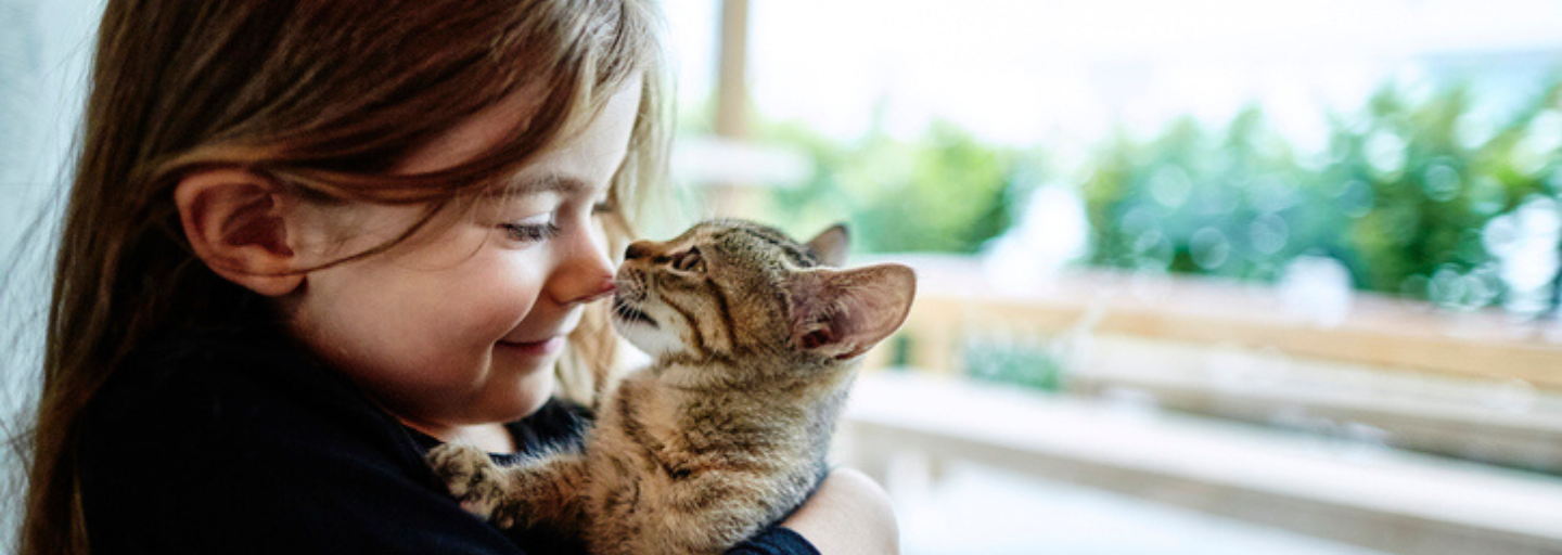 girl hugging and kissing a kitten