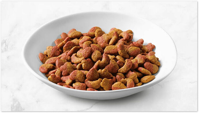 Fancy Feast - Dry cat food