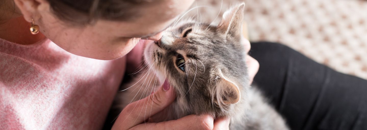 cat and female owner bumping noses