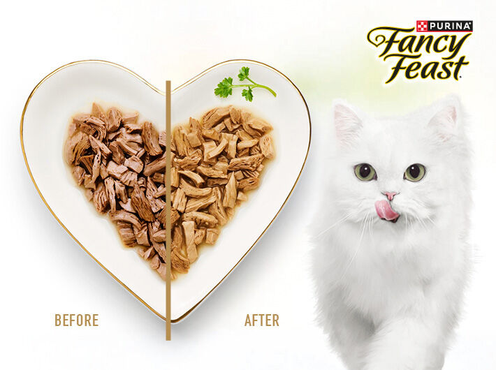 Fancy Feast - white cat with heart shaped plate 